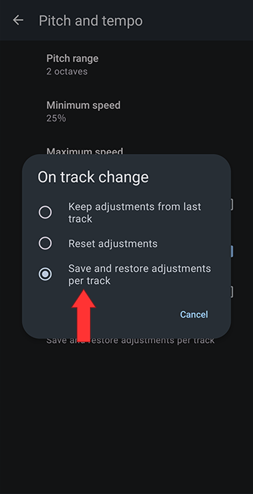 Save adjustments per track